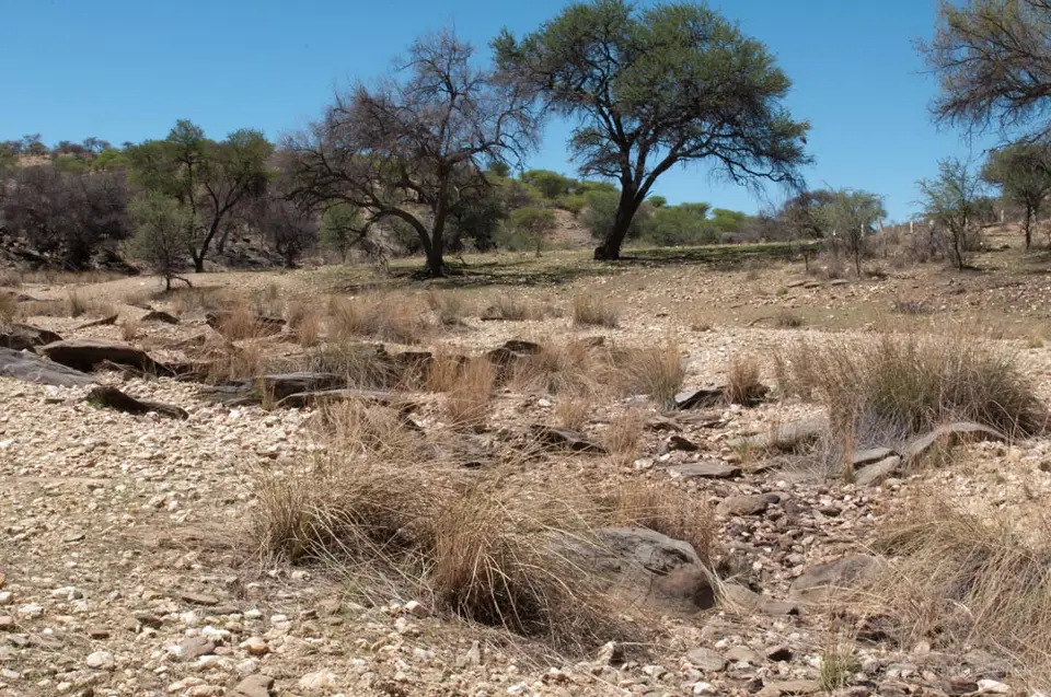 0011namibiaWST_9525-2.jpg