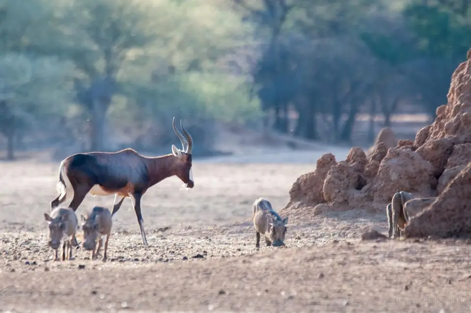 0026namibiaWST_6448-2.jpg