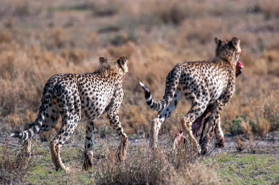 0318namibiaWST_0178-2.jpg