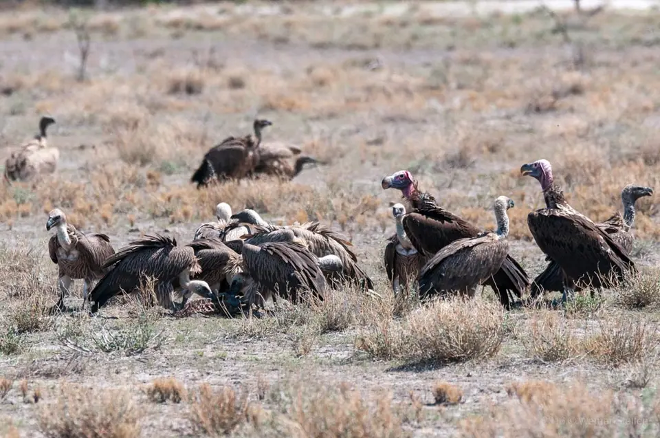 0319namibiaWST_0275-2.jpg