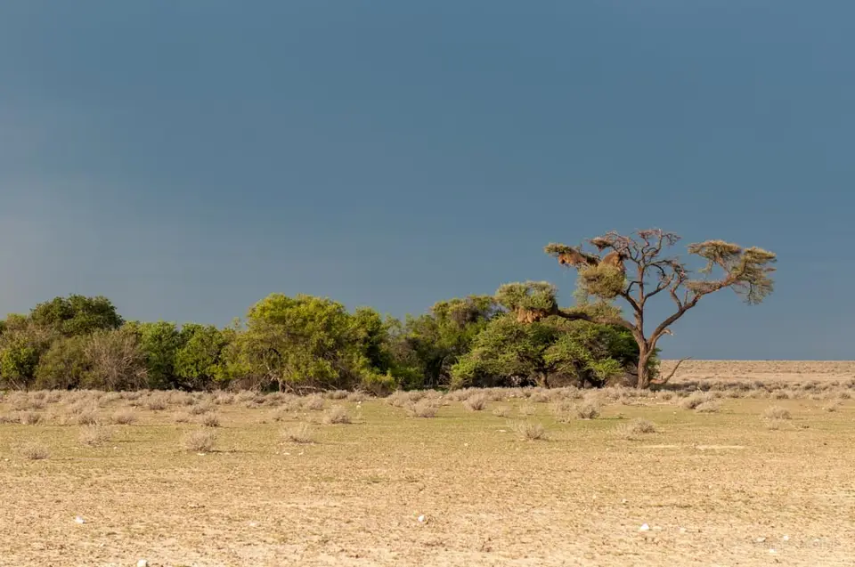 0386namibiaWST_0269-2.jpg