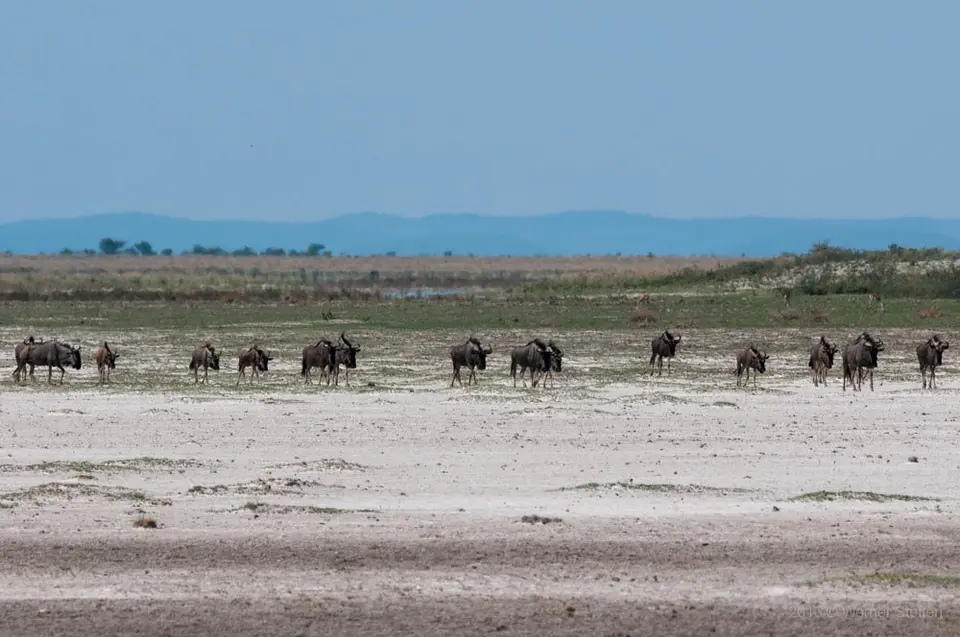 0388namibiaWST_1215-2.jpg