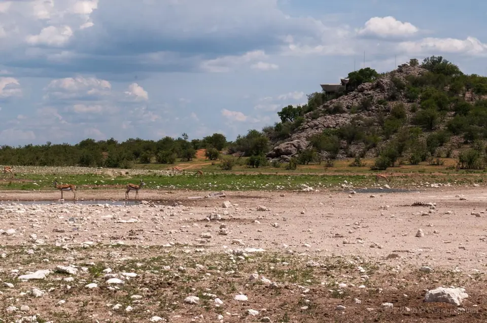 0396namibiaWST_0318-2.jpg