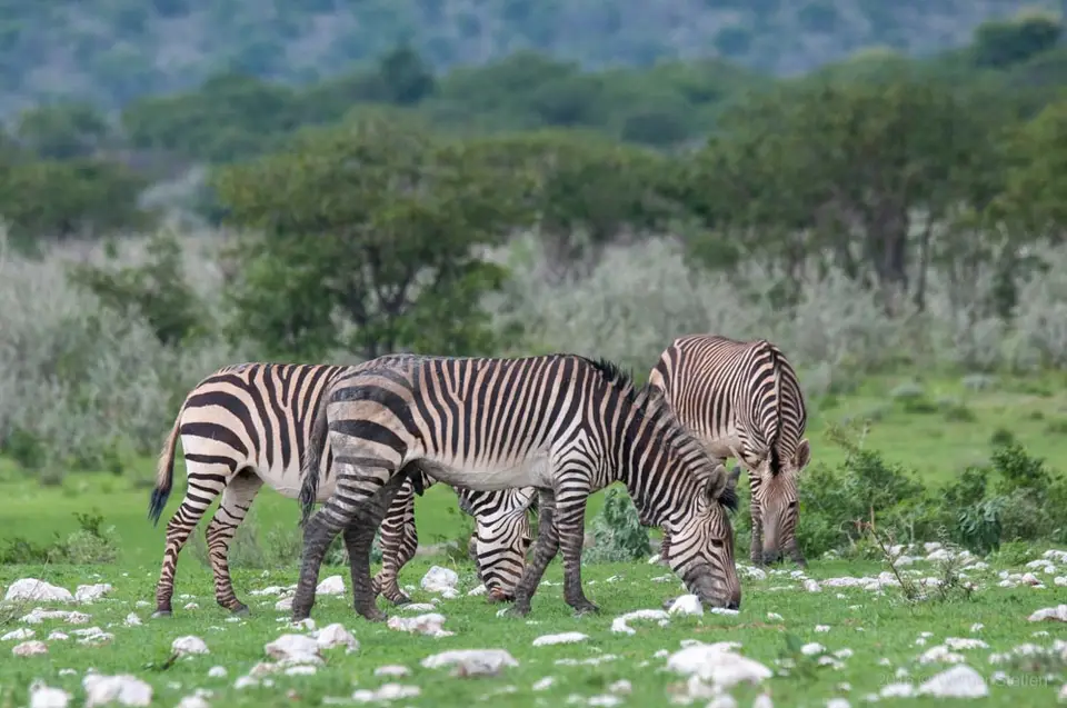 0397namibiaWST_1311-2.jpg