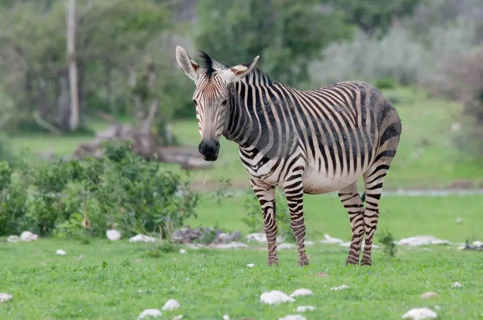 0398namibiaWST_1322-2.jpg