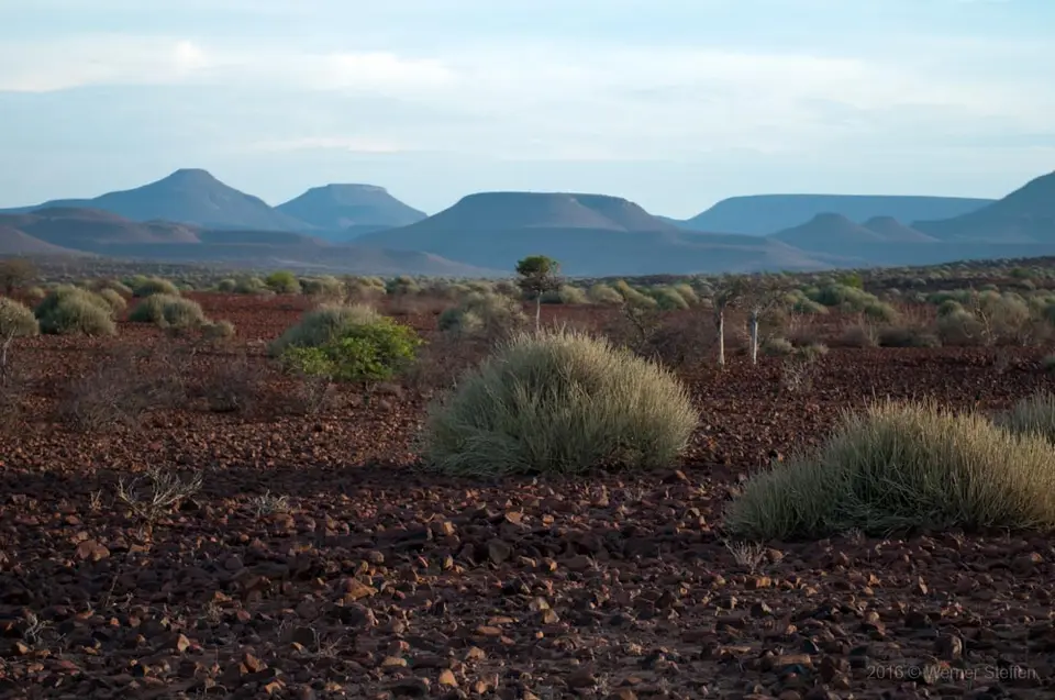 0424_namibiaWST_0455-2.jpg