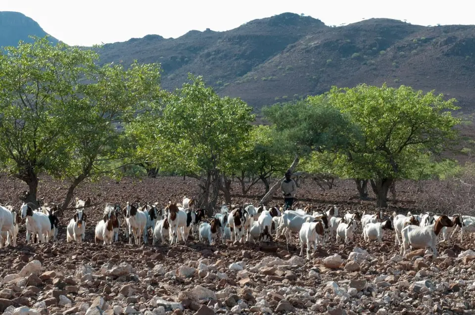 0448namibiaWST_0639-2.jpg