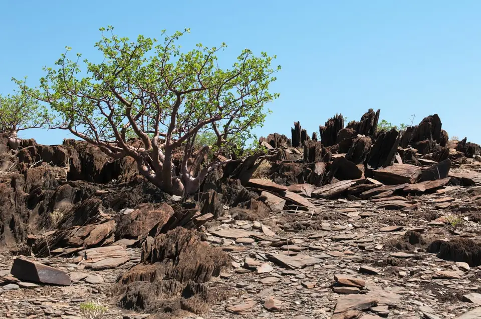 0471c_namibiaWST_0787-2-2.jpg
