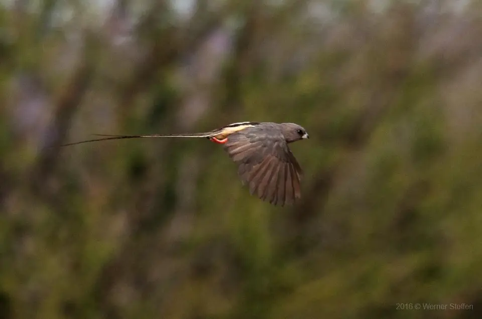 0471e_namibiaWST_1754-2.jpg