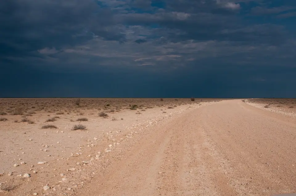 0568-WST_0274.jpg