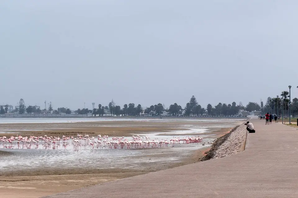 WST_0957.jpg