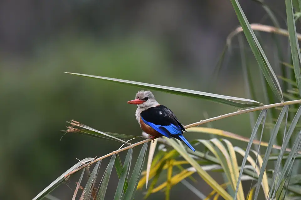 DSC_0433.jpg