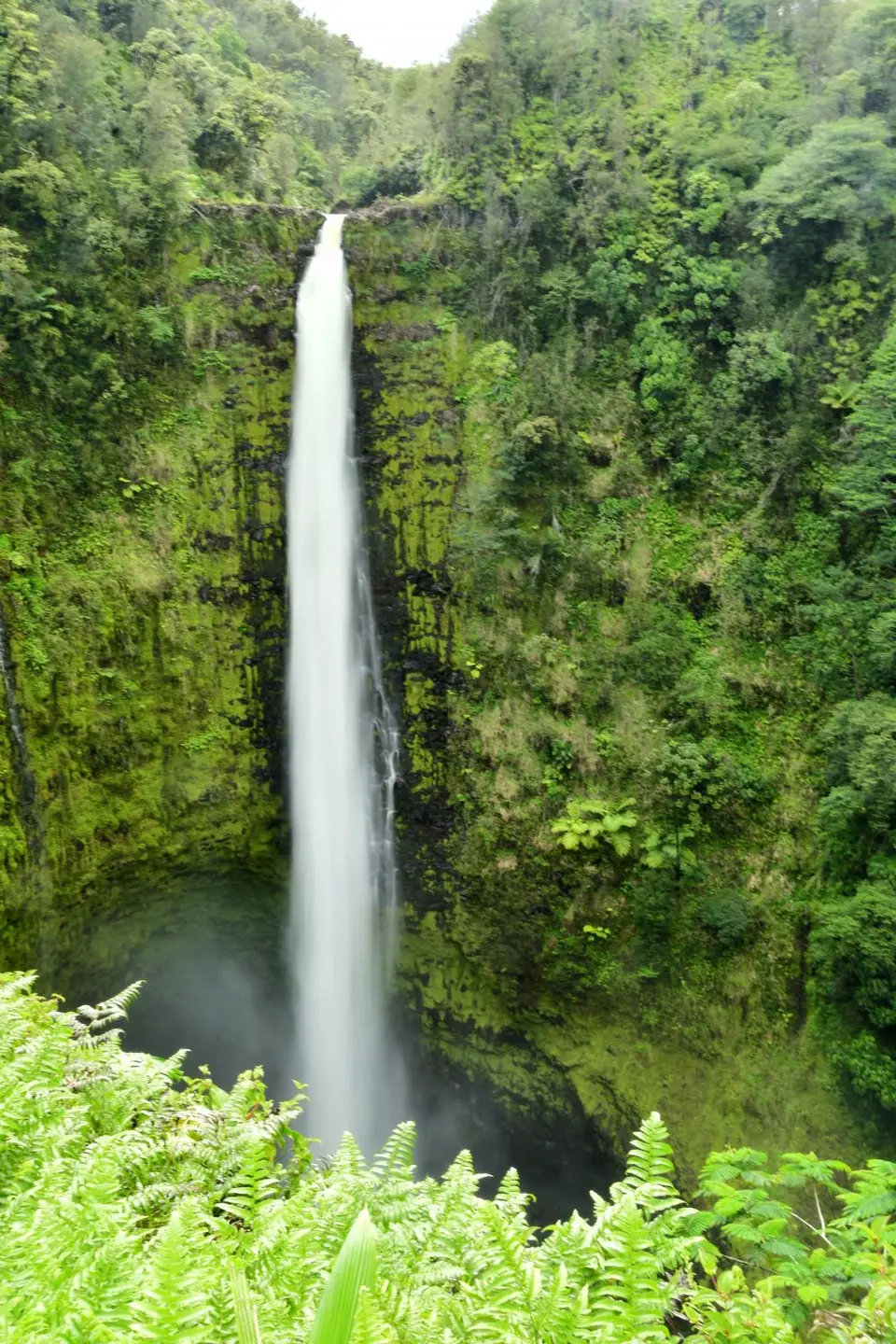 DSC_0680.jpg