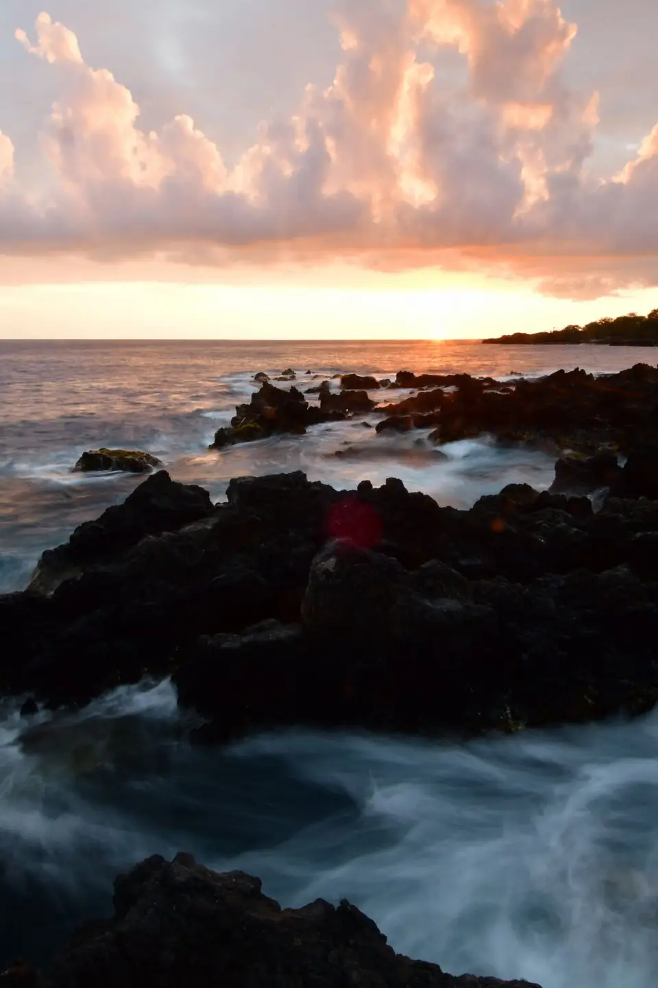 DSC_0976.jpg