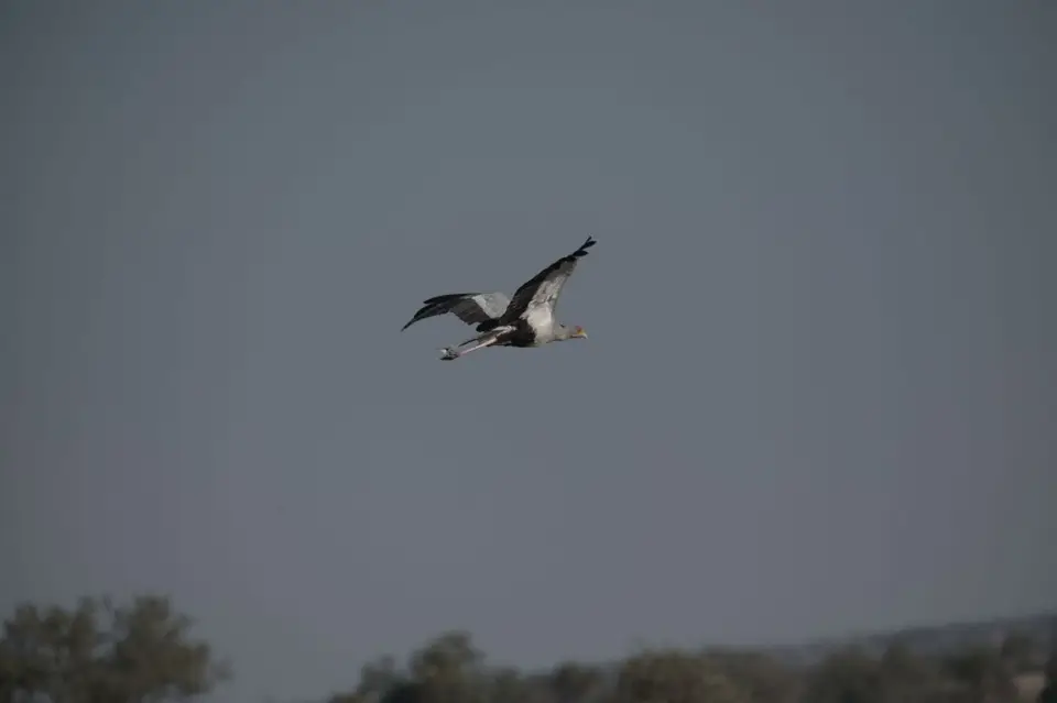 DSC_1130.jpg