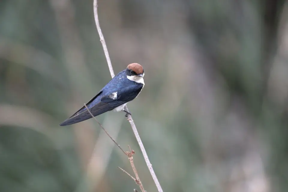 DSC_1540.jpg