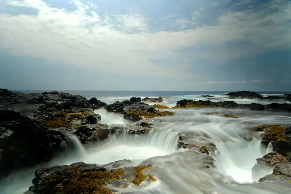 DSC_1551.JPG