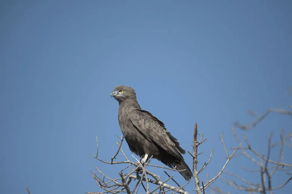 DSC_1780.jpg