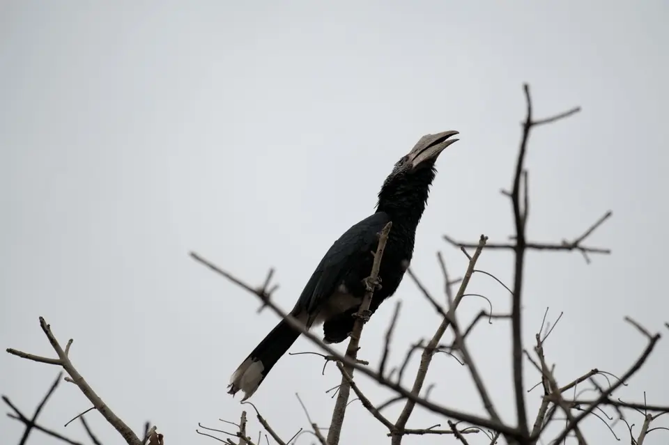 DSC_2878.jpg