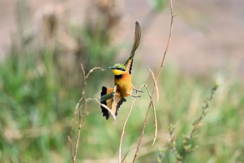 DSC_3494.jpg