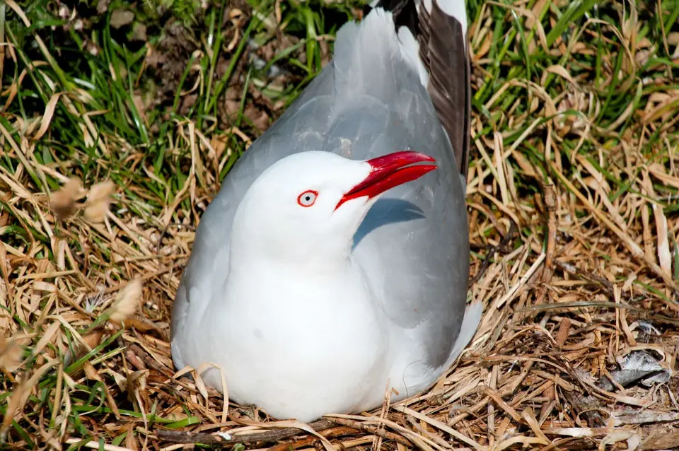 DSC_4005.jpg