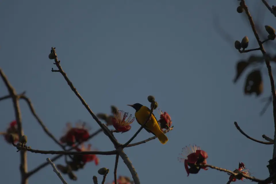 DSC_4037.jpg