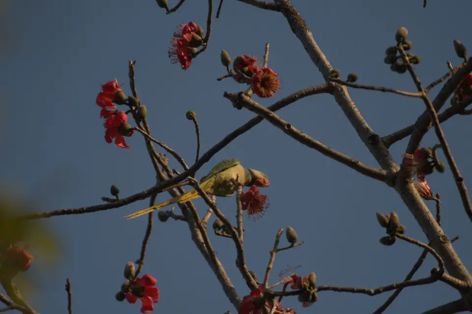 DSC_4054.jpg