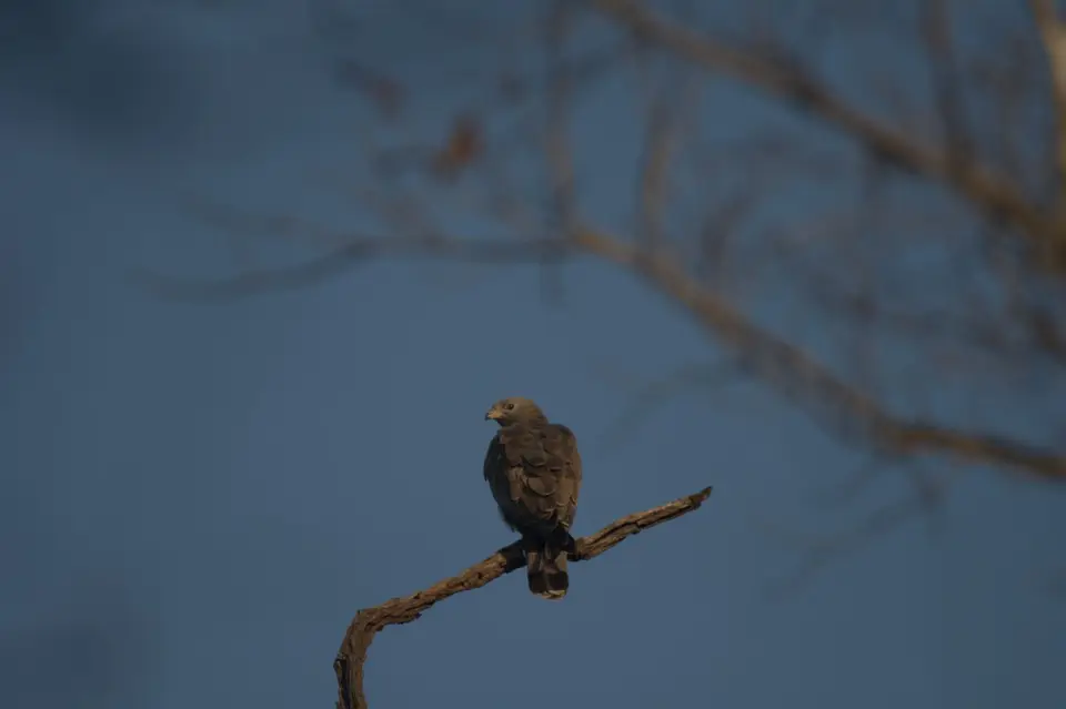DSC_4066.jpg