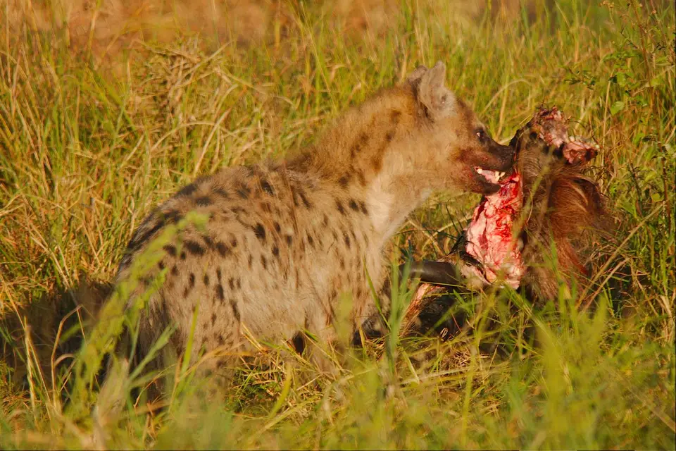 DSC_5165.jpg