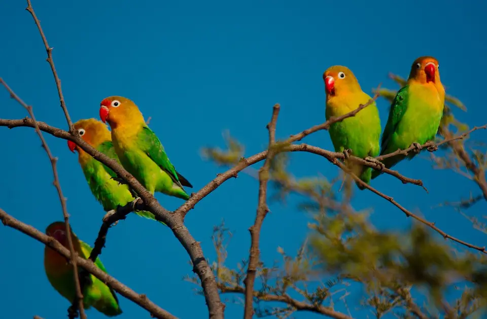 DSC_5240.jpg