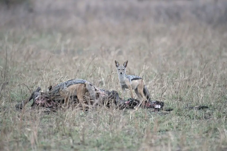 DSC_5543.jpg
