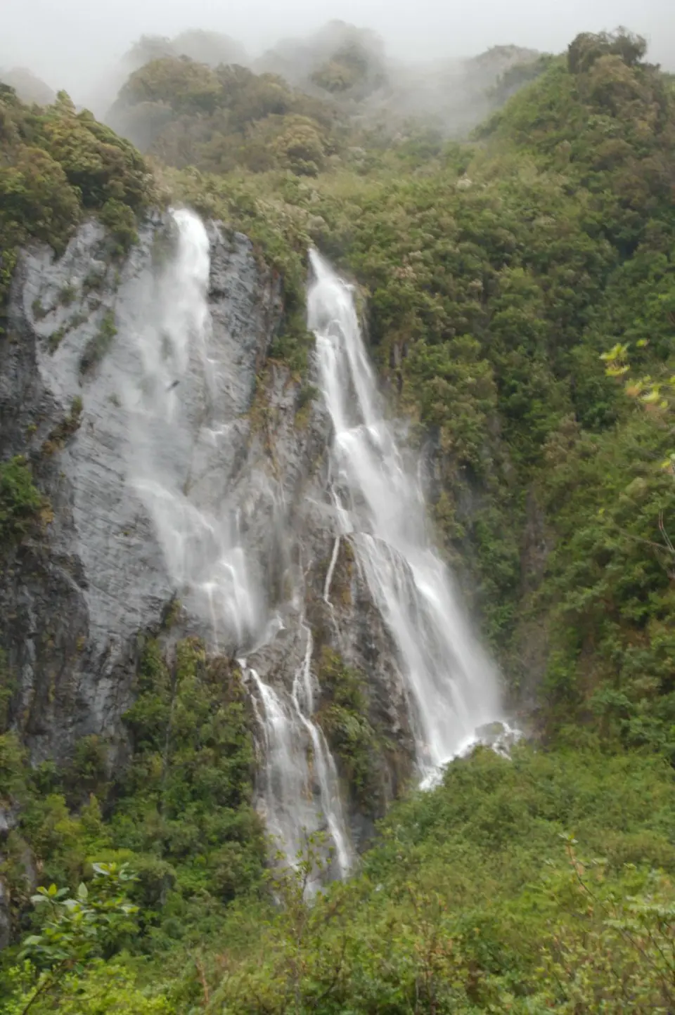 DSC_6116.NEF.jpg