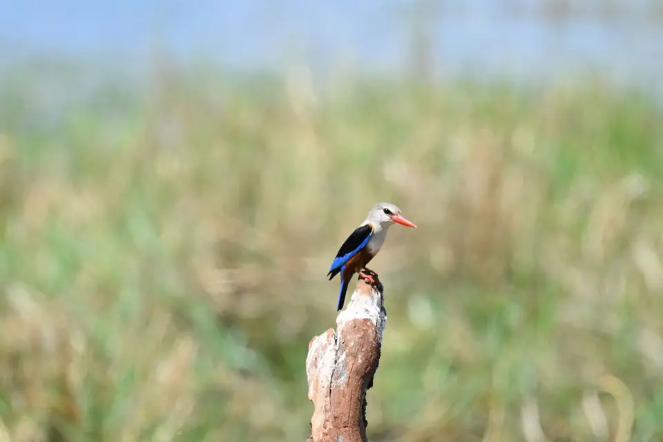 DSC_6122.jpg