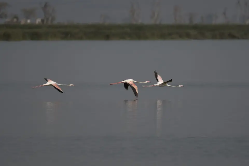 DSC_7499.jpg