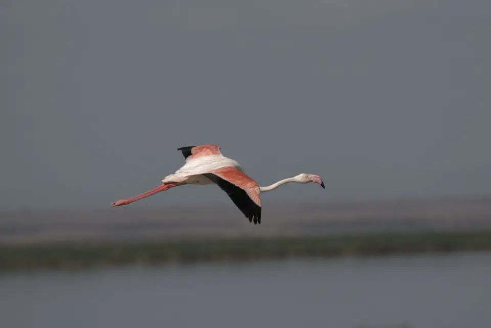 DSC_7538.jpg