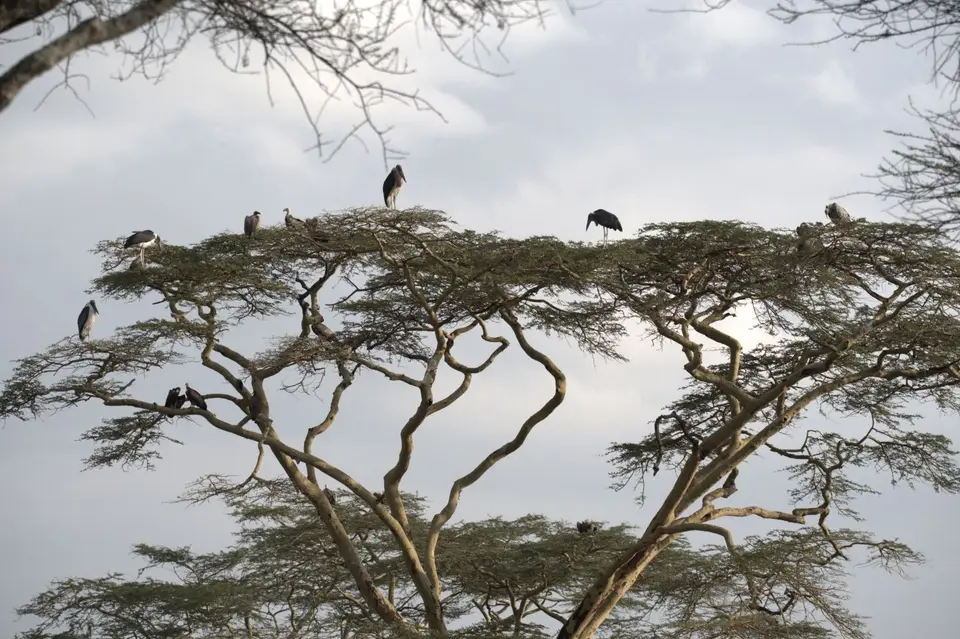 DSC_8166.jpg