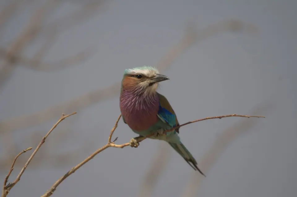 DSC_8338.jpg
