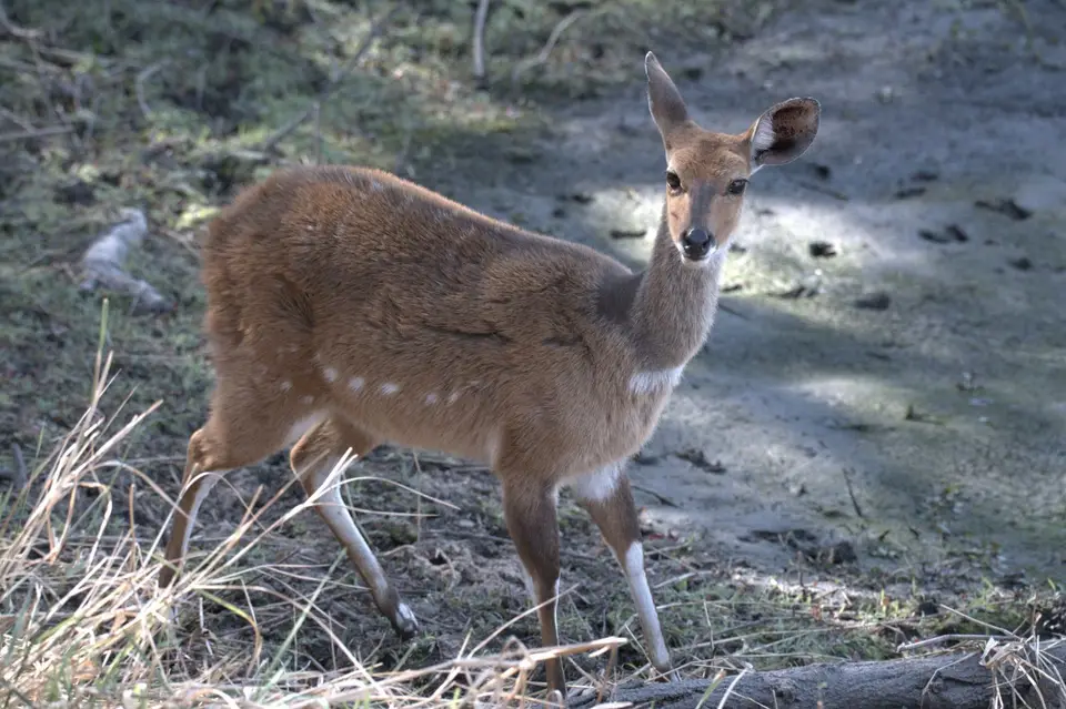 DSC_8616-2.jpg