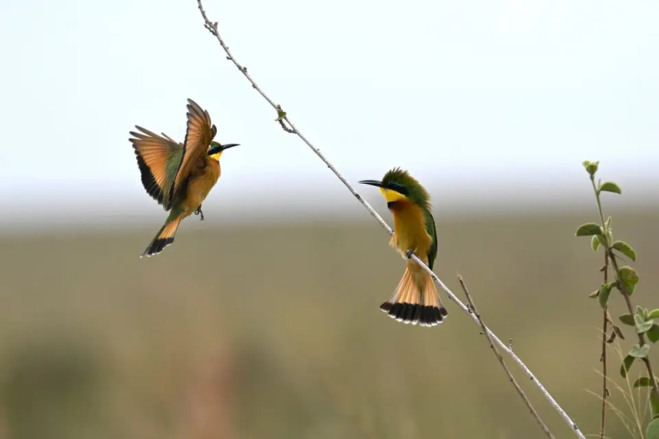 DSC_9842.jpg
