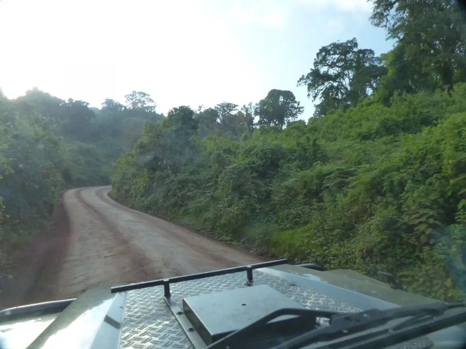 P1450696.JPG