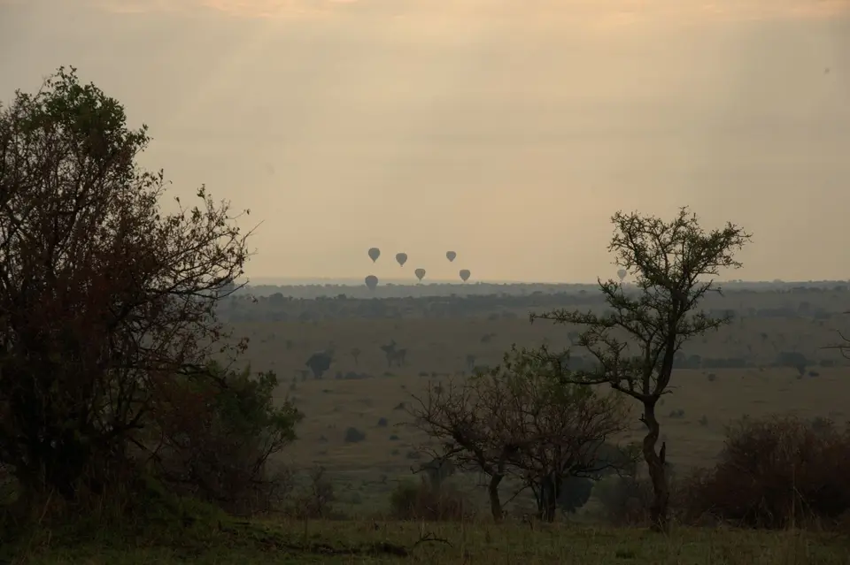 Z72_4799.jpg