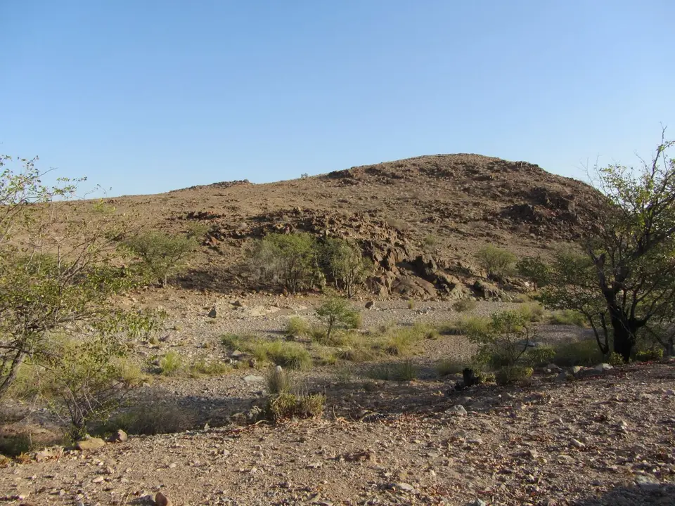 IMG_5215.JPG