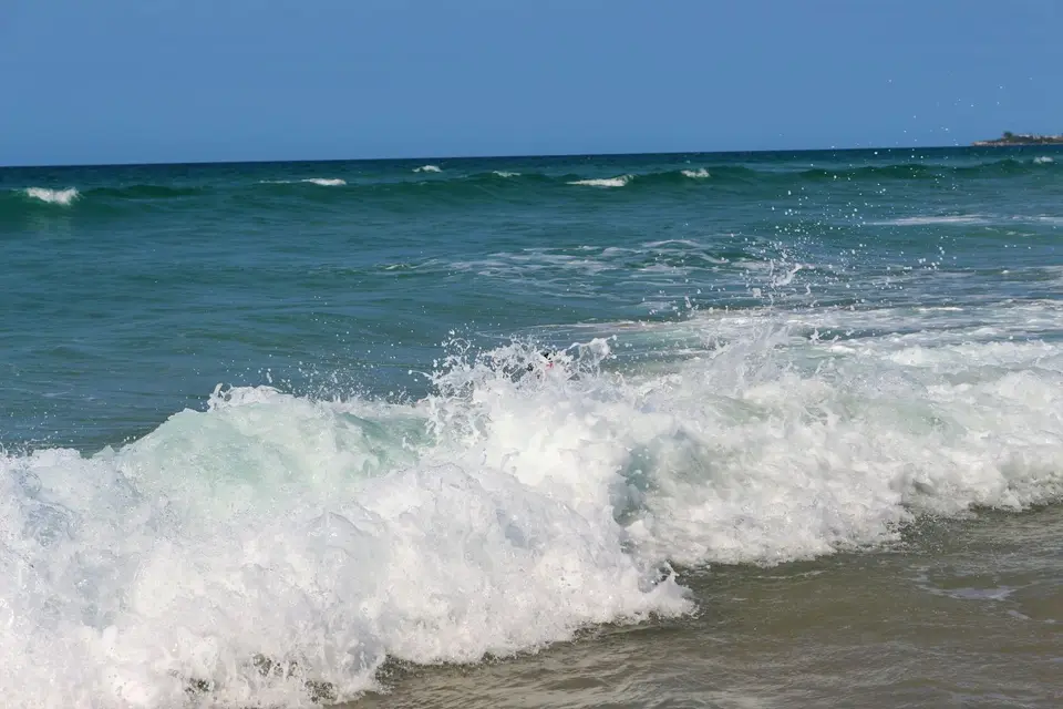 IMG_6020.JPG