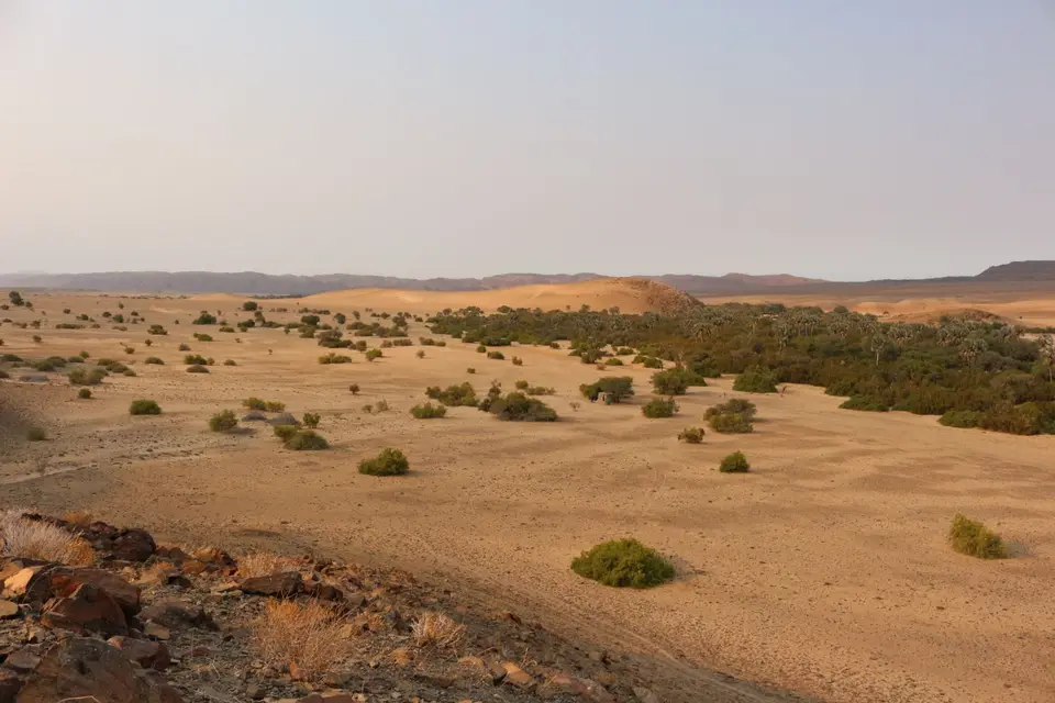 IMG_6988.JPG