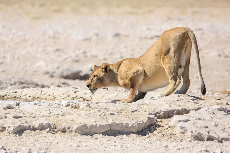 Namibia02-1108.jpg