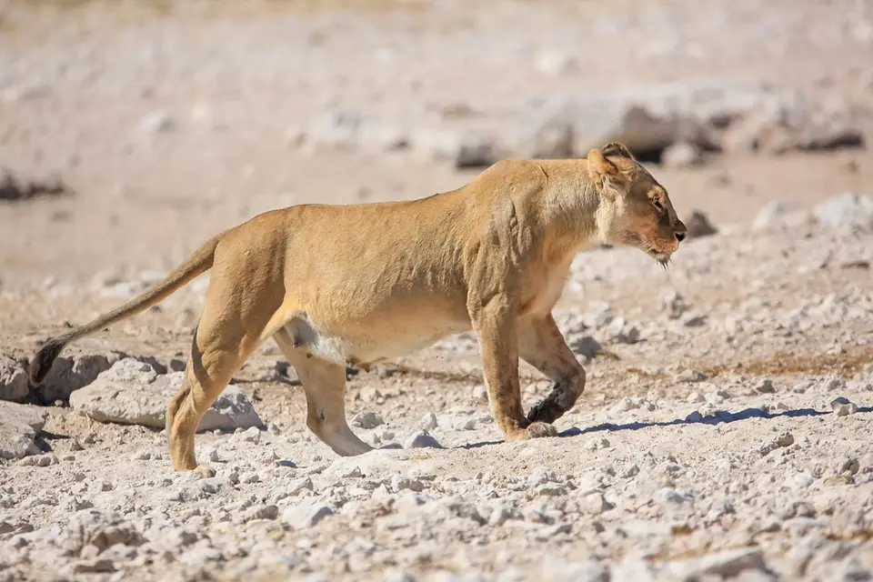 Namibia02-1149.jpg