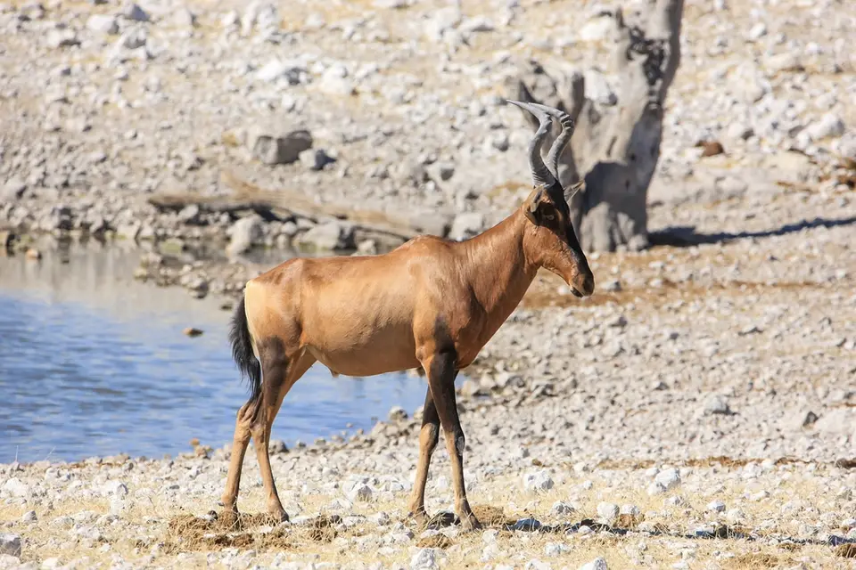Namibia02-1169.jpg