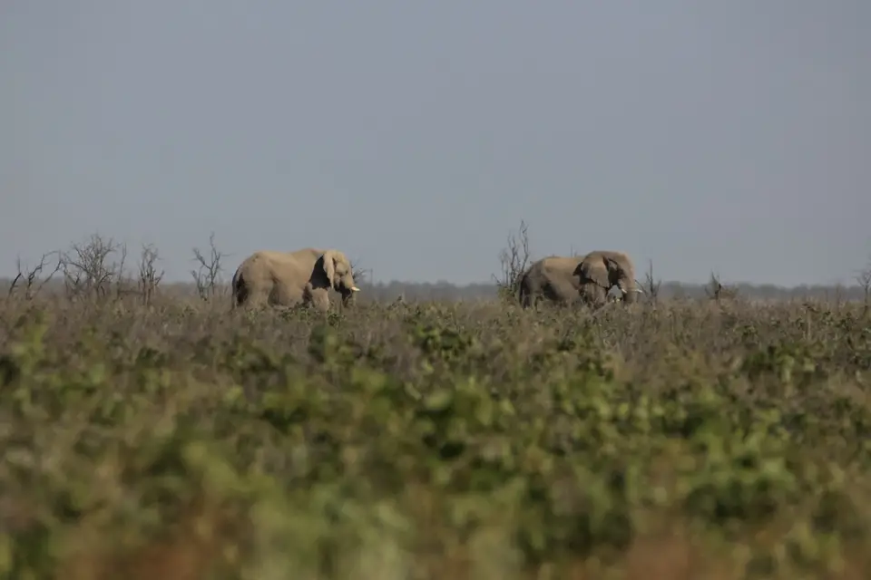 Namibia02-1322.jpg