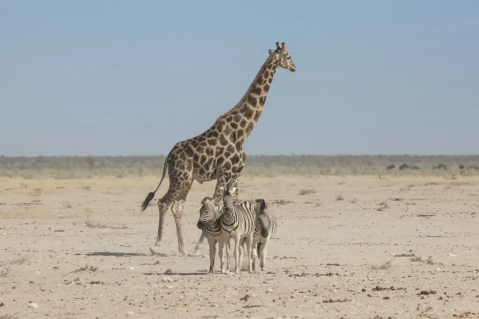 Namibia02-1379.jpg