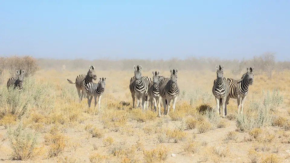 Namibia02-1385.jpg
